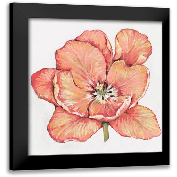 OToole, Tim 20x20 Black Modern Framed Museum Art Print Titled - Spring Tulip Bloom I