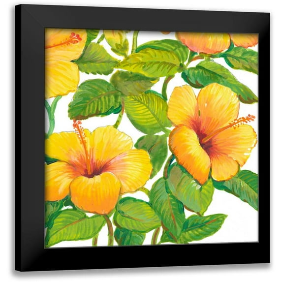 OToole, Tim 20x20 Black Modern Framed Museum Art Print Titled - Watercolor Hibiscus IV
