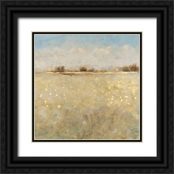 OToole, Tim 20x20 Black Ornate Wood Framed with Double Matting Museum Art Print Titled - Meadow Plane I
