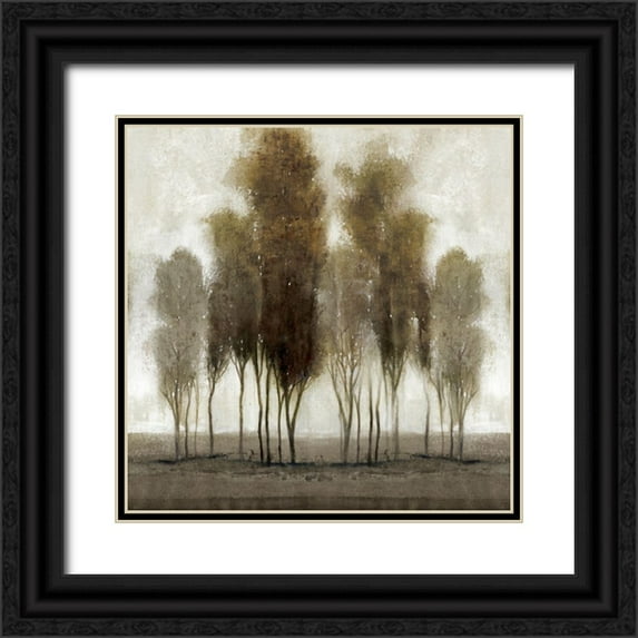 OToole, Tim 20x20 Black Ornate Wood Framed with Double Matting Museum Art Print Titled - Neutral Scape