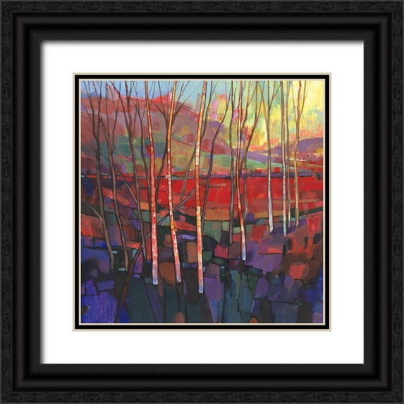 OToole, Tim 20x20 Black Ornate Wood Framed with Double Matting Museum Art Print Titled - Patchwork Trees II