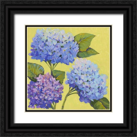 OToole, Tim 20x20 Black Ornate Wood Framed with Double Matting Museum Art Print Titled - Spring Hydrangeas II