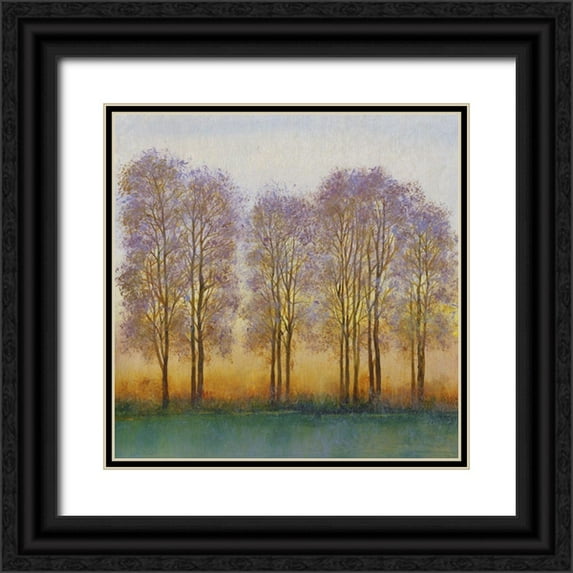 OToole, Tim 20x20 Black Ornate Wood Framed with Double Matting Museum Art Print Titled - Twilight Glow I
