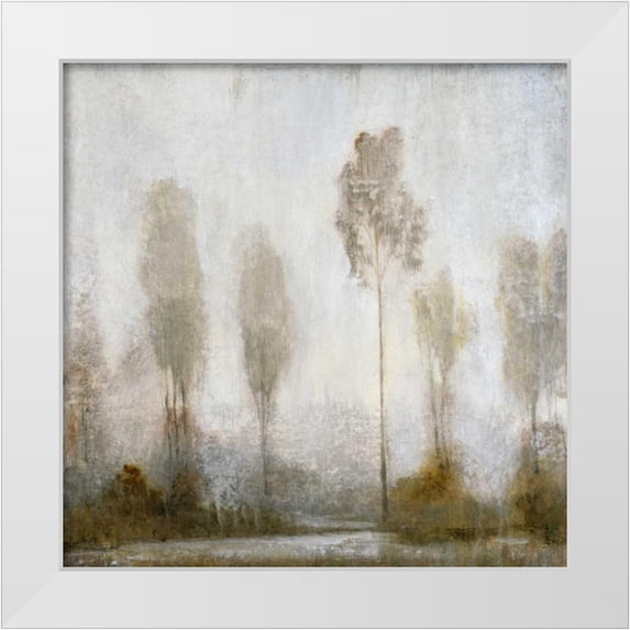 OToole, Tim 20x20 White Modern Wood Framed Museum Art Print Titled - Misty Marsh II