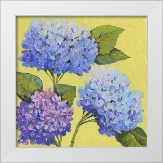 OToole, Tim 20x20 White Modern Wood Framed Museum Art Print Titled - Spring Hydrangeas II