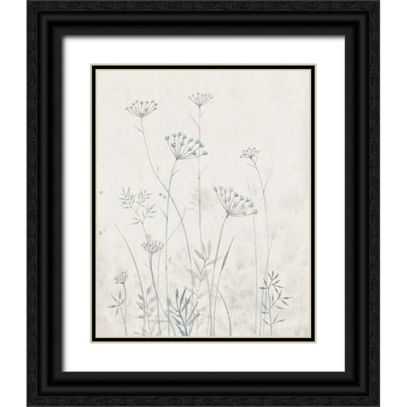 OToole, Tim 20x24 Black Ornate Wood Framed with Double Matting Museum Art Print Titled - Neutral Queen Annes Lace I