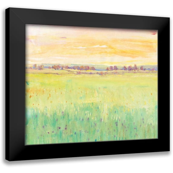 OToole, Tim 23x20 Black Modern Framed Museum Art Print Titled - Spring Pasture II