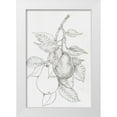 thumbnail image 1 of OToole, Tim 23x32 White Modern Wood Framed Museum Art Print Titled - Fruit-Bearing Branch III, 1 of 4
