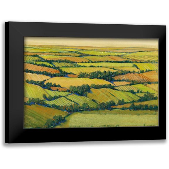 OToole, Tim 24x17 Black Modern Framed Museum Art Print Titled - A View Above II