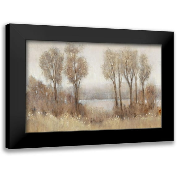 OToole, Tim 24x17 Black Modern Framed Museum Art Print Titled - Rainy Afternoon I