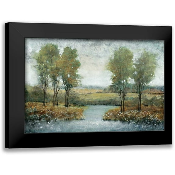 OToole, Tim 24x17 Black Modern Framed Museum Art Print Titled - Stream Side II