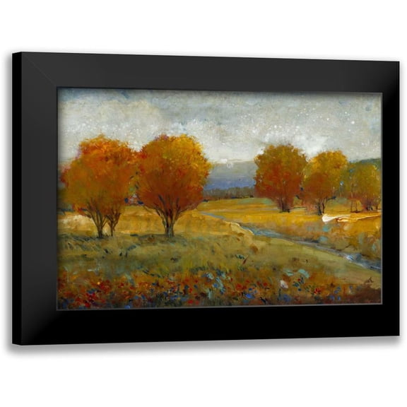 OToole, Tim 24x17 Black Modern Framed Museum Art Print Titled - Vivid Brushstrokes II