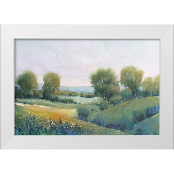 OToole, Tim 24x17 White Modern Wood Framed Museum Art Print Titled - Paysage II