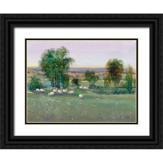 OToole, Tim 24x19 Black Ornate Wood Framed with Double Matting Museum Art Print Titled - Field of Sheep II