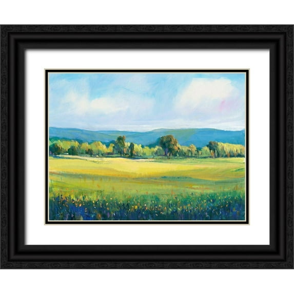 OToole, Tim 24x19 Black Ornate Wood Framed with Double Matting Museum Art Print Titled - Partly Cloudy I