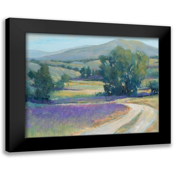 OToole, Tim 24x20 Black Modern Framed Museum Art Print Titled - Lavender Meadow I
