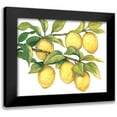 thumbnail image 1 of OToole, Tim 24x20 Black Modern Framed Museum Art Print Titled - Ripe for Picking II, 1 of 5