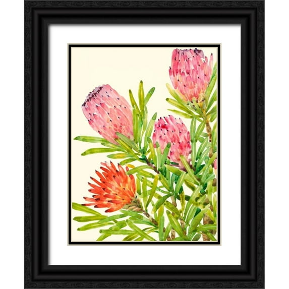 OToole, Tim 25x32 Black Ornate Wood Framed with Double Matting Museum Art Print Titled - Watercolor Tropical Flowers I