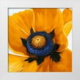 thumbnail image 1 of OToole, Tim 26x26 White Modern Wood Framed Museum Art Print Titled - Close-Up I, 1 of 4
