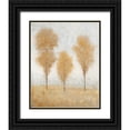 thumbnail image 1 of OToole, Tim 26x32 Black Ornate Wood Framed with Double Matting Museum Art Print Titled - Autumn Springs II, 1 of 4