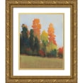 thumbnail image 1 of OToole, Tim 26x32 Gold Ornate Wood Framed with Double Matting Museum Art Print Titled - Fall Colors II, 1 of 4