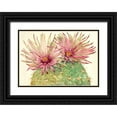 thumbnail image 1 of OToole, Tim 32x23 Black Ornate Wood Framed with Double Matting Museum Art Print Titled - Cactus Blossoms I, 1 of 4