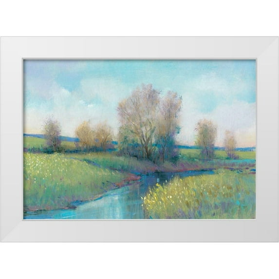 OToole, Tim 32x23 White Modern Wood Framed Museum Art Print Titled - Hidden Stream I