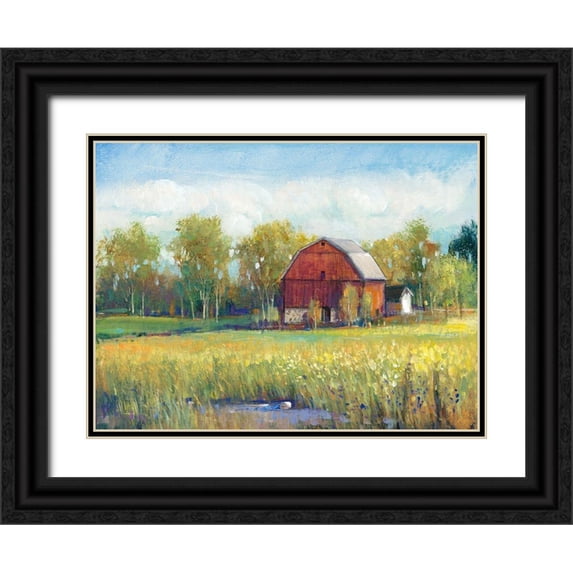 OToole, Tim 32x25 Black Ornate Wood Framed with Double Matting Museum Art Print Titled - Rural America I