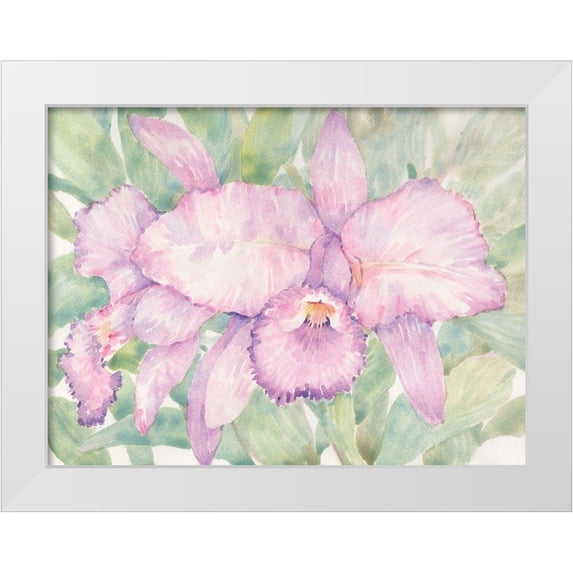 OToole, Tim 32x25 White Modern Wood Framed Museum Art Print Titled - Tropical Orchid Watercolor II