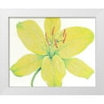thumbnail image 1 of OToole, Tim 32x26 White Modern Wood Framed Museum Art Print Titled - Citron Tiger Lily I, 1 of 4