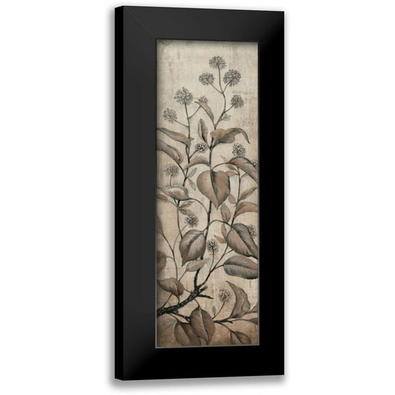 OToole, Tim 7x14 Black Modern Framed Museum Art Print Titled - Branch and Blossoms II
