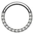 thumbnail image 1 of OUFER Titanium Daith Earring Hoop Solid G23 Titanium Cartilage Tragus Helix Rings 16G Septum Piercing Jewelry Hinged Segment Hoop with Clear CZ Paved, 1 of 9