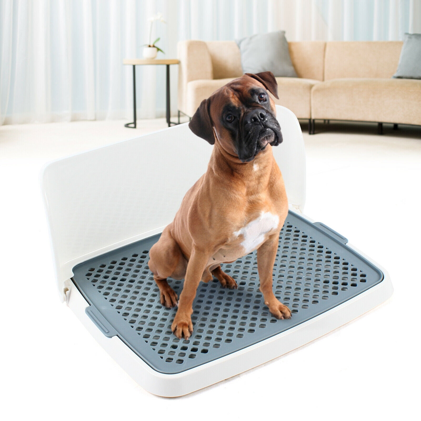 Large dog 2025 litter box