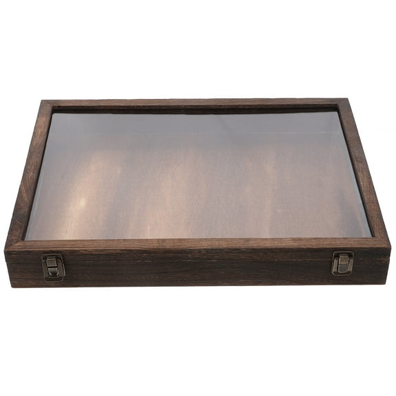 OULII 1 Set Butterfly Specimen Display Case with Foam Padding 17.7x12.6x2.4in