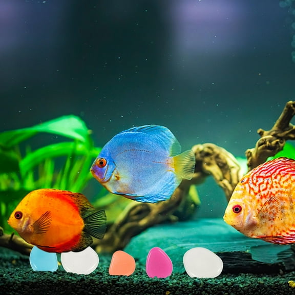 OULII 200 Pcs Landscaping Pebbles Assorted Color for Craft Projects