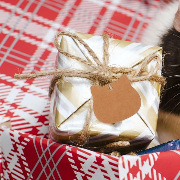 OULII 200Pcs Blank Paper Tags Brown Cat Head Shaped for Holiday Presents and Parties