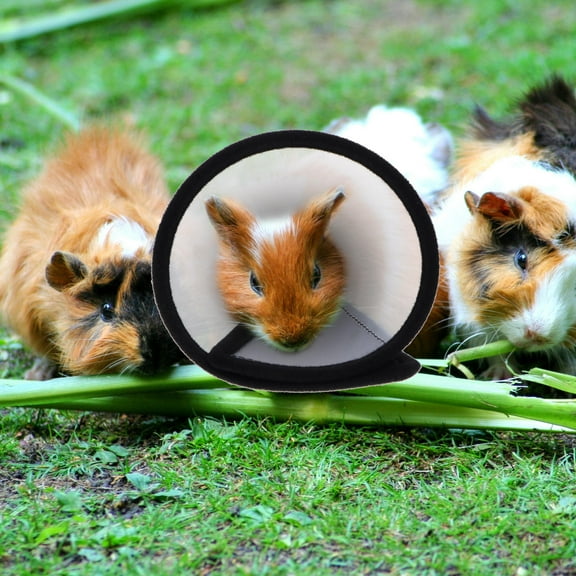 OULII 2Pcs Hamster Neck Ring Anti-Licking Collar with Lovely Design Comfortable Wear