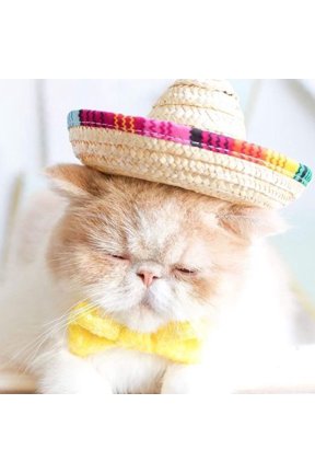 2Pcs Pet Straw Hat Hair Hoop Lightweight Headband Comfortable for Party Use