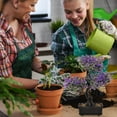 thumbnail image 1 of OULII Set of 2 Small Artificial Bonsai Trees in Pots, Realistic Faux Potted Plants for Home, Office, Tabletop Decoration, 1 of 6