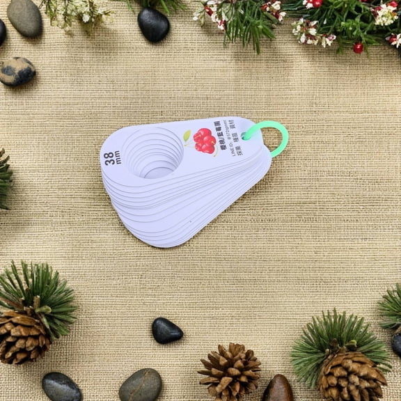 OULII Durable Fruit Grading Ruler in Multi-Color Plastic for Precise Measurement