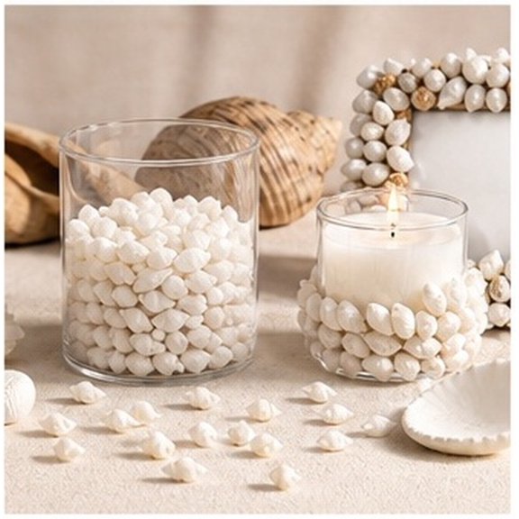 OULII Decorative Conch Shell Pieces for Resin Crafts, Centerpieces and Aquarium Use