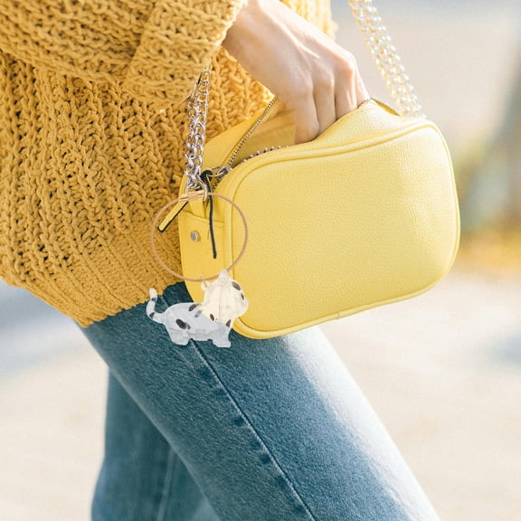 OULII Transparent Handheld Pet Hair Storage Box Keychain for Cat Hair Keepsake and Travel Accessory