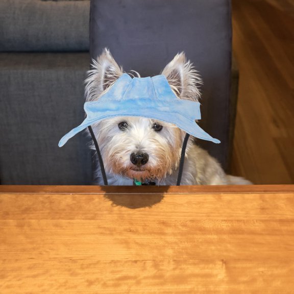 OULII Pet Adjustable Sun Hat Sky Blue Waterproof Dog Visor Hat With UV Protection 1Pcs