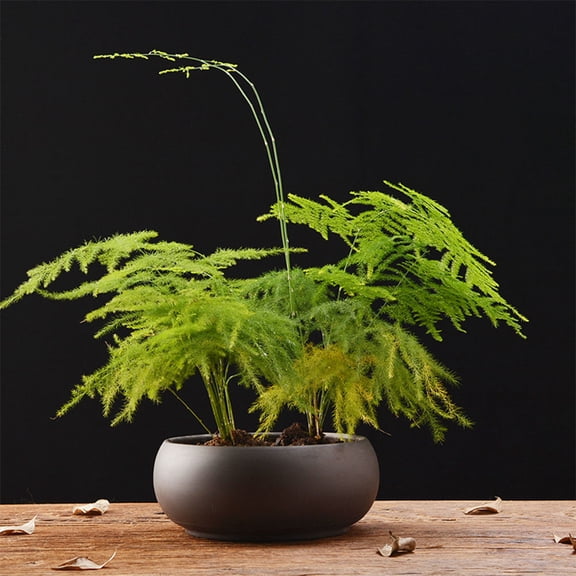 OULII Coffee Colored Purple Sand Planter for Home Use Creative Design