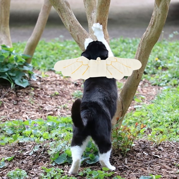 OULII Wear Resistant Coral Fleece Cat Wing Costume for Pets with Comfortable Fit