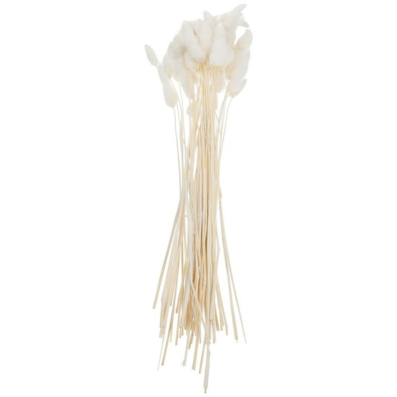 WEAVILUX Natural Dried Flower Rabbittail For Wedding And Home Decor 60 Pcs 23.6 In