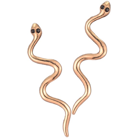 OUNONA 1 Pair Snake Earrings Earrings Cool Earrings Personalized Earrings Women Ear Jewelry