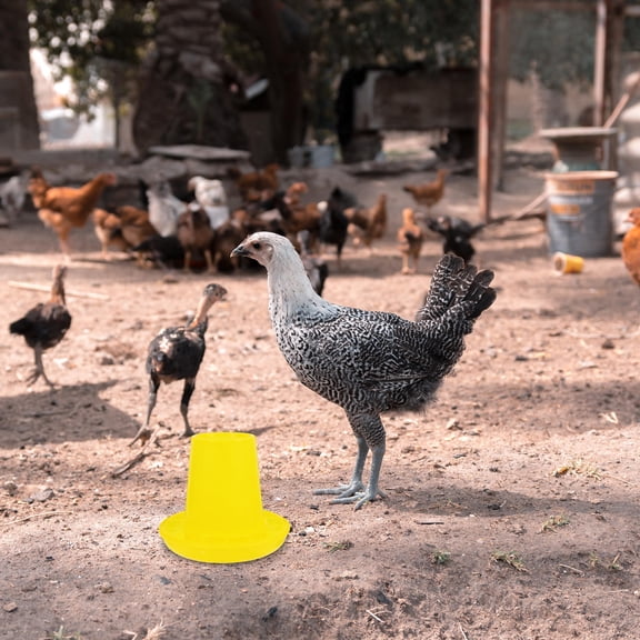 OUNONA 1 Set of Automatic Chicken Feeder Chicken Water Feeder Cage Accessories Chick Food Dispenser Chicken Water Container Chick Food Holder Automatic Food Dispenser Bird Feeder