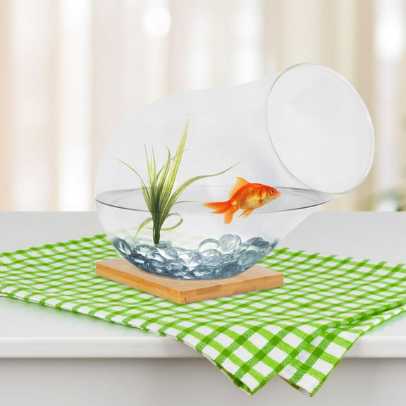 OUNONA 1 Set Clear Glass Terrarium for Succulents Decorative Plant Container Bowl Micro Landscape Planter for Small Plants