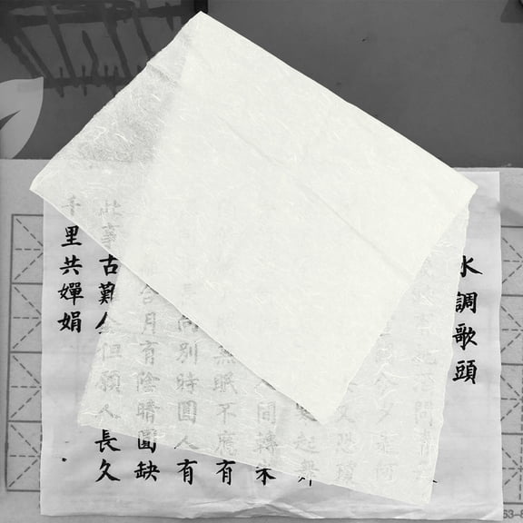 OUNONA 10 Sheets Chinese Art Paper Professional Writing Paper Dried Flower Pattern Rice Paper